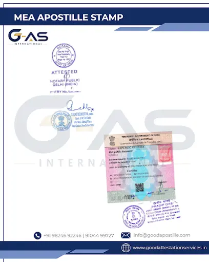 Transcript Apostille services for academic transcript authentication and overseas use