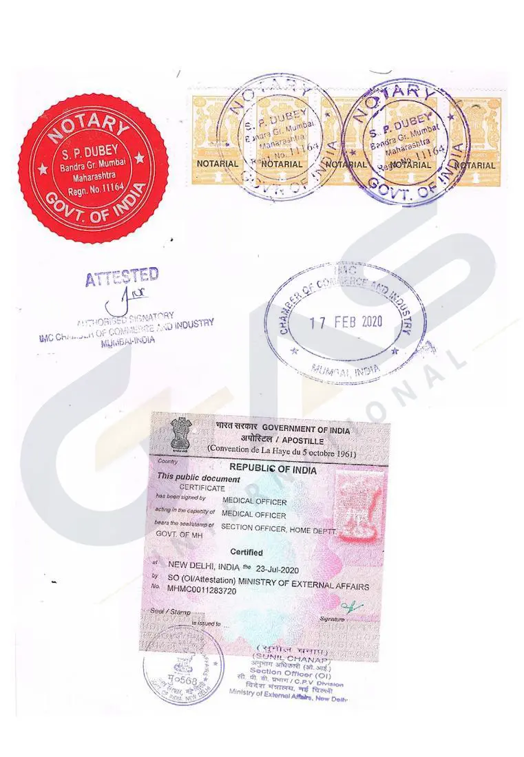 Company Master Data Apostille for overseas business documentation